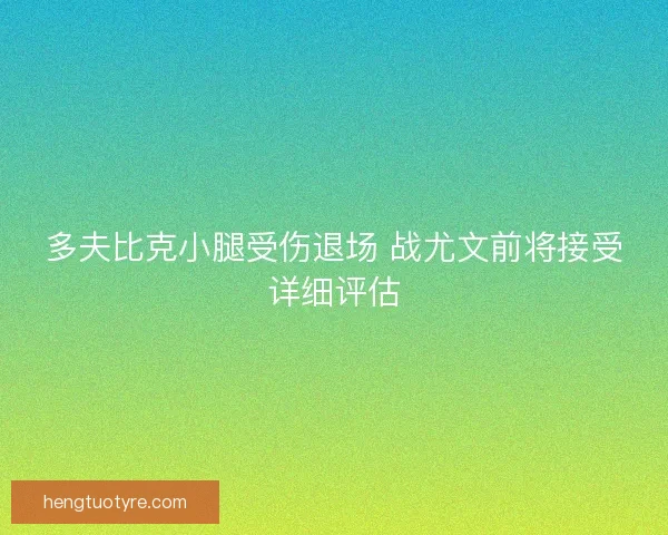 多夫比克小腿受伤退场 战尤文前将接受详细评估
